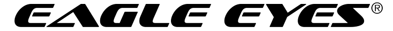 Eagle Eyes logo